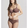 image:imagePanache Plus Size Womens Envy BriefChestnut