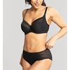 image:imagePanache Serene Matching Brief 10302Noir