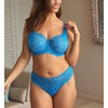 image:imagePanache Womens Allure Thong  Lace Thong with Gold Ring Detail Sheer Luxury LingerieAzure Blue
