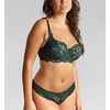 image:imagePanache Womens Allure Thong  Lace Thong with Gold Ring Detail Sheer Luxury LingerieForest Green