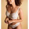 image:imagePanache Womens Allure Thong  Lace Thong with Gold Ring Detail Sheer Luxury LingerieIvory