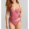 image:imagePanache Womens Classic Swim Brief  MidRise Coverage Full Lining QuickDry FabricRed Gingham