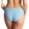 image:imagePanache Womens Classic Swim Brief  MidRise Coverage Full Lining QuickDry FabricSky Blue Gingham