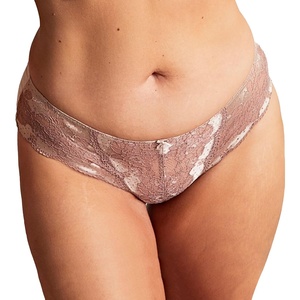 image:imagePanache Womens Clara Lace amp Sheer Bikini Brief  Stretch Lace Panty Everyday Comfort Bikini Cut UnderwearChampagneBronze