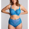 image:imagePanache Womens Allure Full Cup Bra  Sheer Lace with Side Sling amp Power Mesh SupportAzure Blue