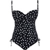 image:imagePanache Womens Polka Dot Isabella Swimsuit SW2060 Polka Dot 30E