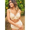 image:imagePanache Womens Envy Deep BriefLemonWhite